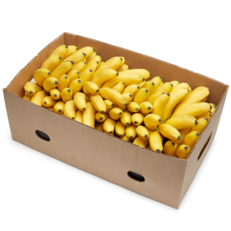 Yellow Bananas, Case