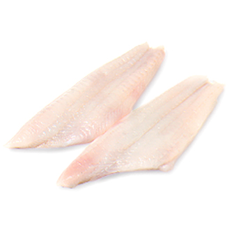 Wild Flounder Fillet