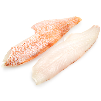Ocean Perch Fillet