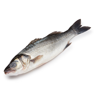 Jumbo Branzino