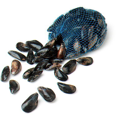 Maine Rope Grown Mussels