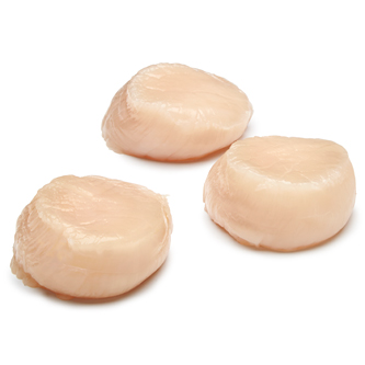 Japanese Hokkaido Dry Sea Scallops