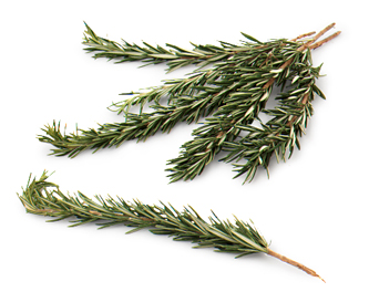 Rosemary