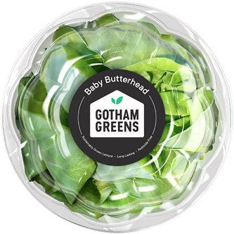 Gotham Greens Local Baby Butterhead Lettuce