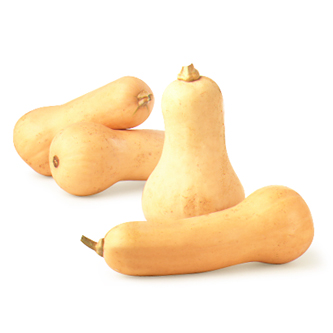 Butternut Squash
